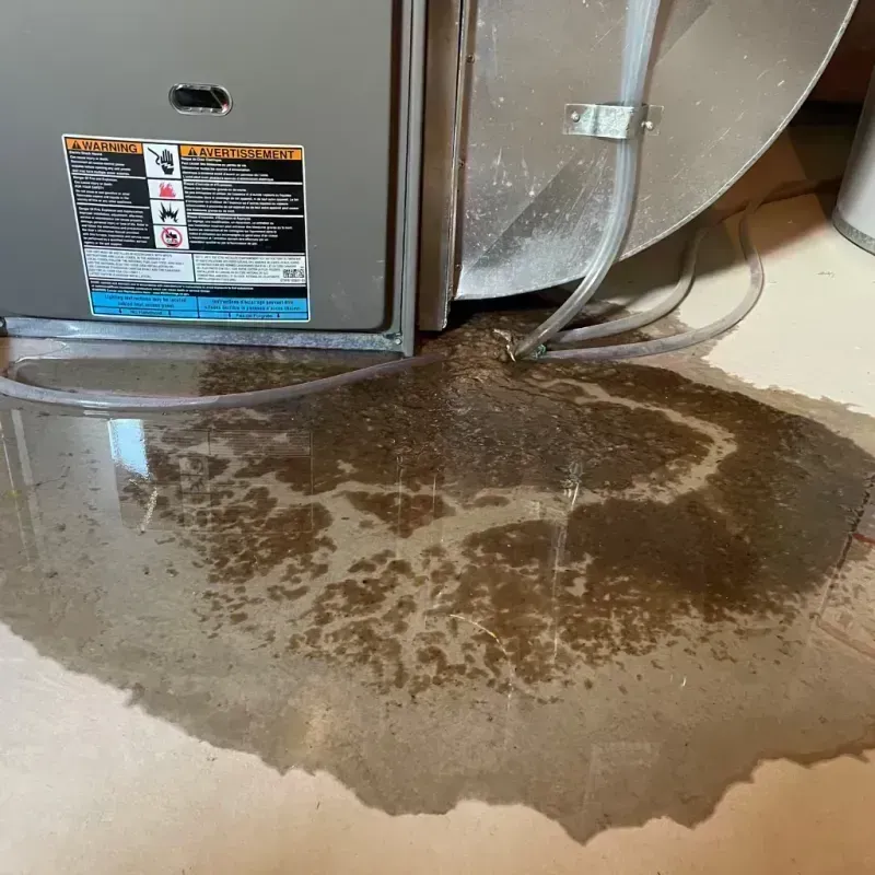 Appliance Leak Cleanup in Cassville, MO